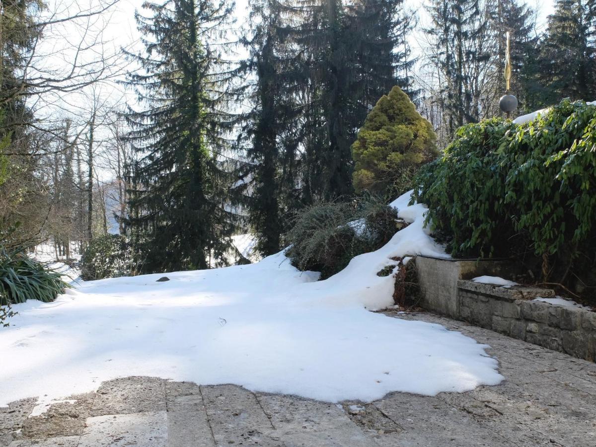 Villa Sawallisch Грассау Экстерьер фото